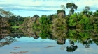 Amazónia 3D