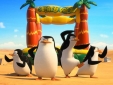 A madagaszkár pingvinjei