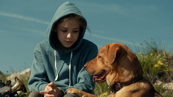 A film egy kislány és egy kutya barátságának történetét meséli el